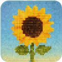 Extension Icon